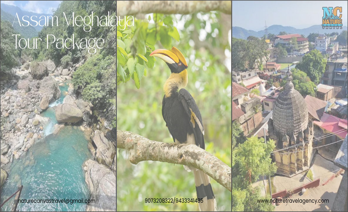 package tour of Assam Meghalaya, Meghalaya to Assam, Assam Meghalaya tour packages,